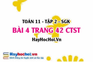 Bài 4 trang 42 Toán 11 tập 2 Chân trời sáng tạo
